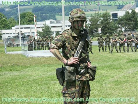 gear swiss 2 soldiers|List of equipment of the Swiss Army .